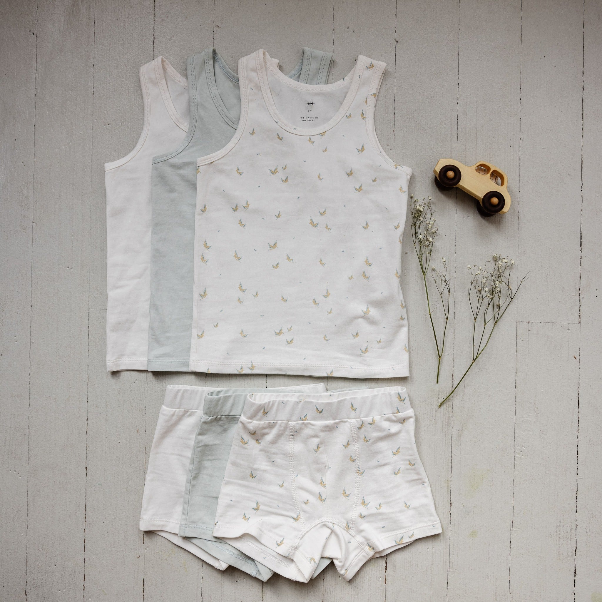 Boy's Undies Set-Shorts - Aaria Tees Aaria Tees