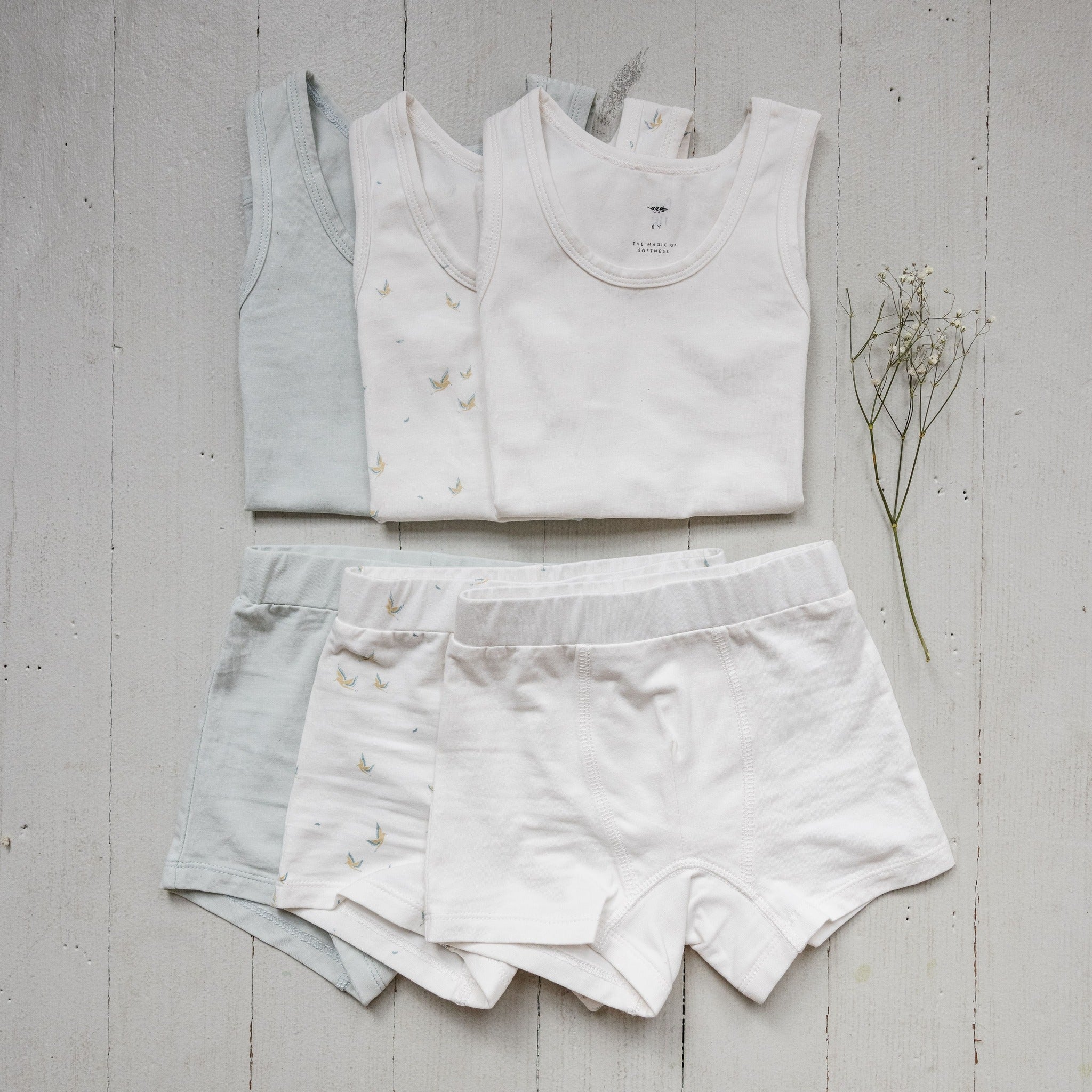 Boy's Undies Set-Shorts - Aaria Tees Aaria Tees