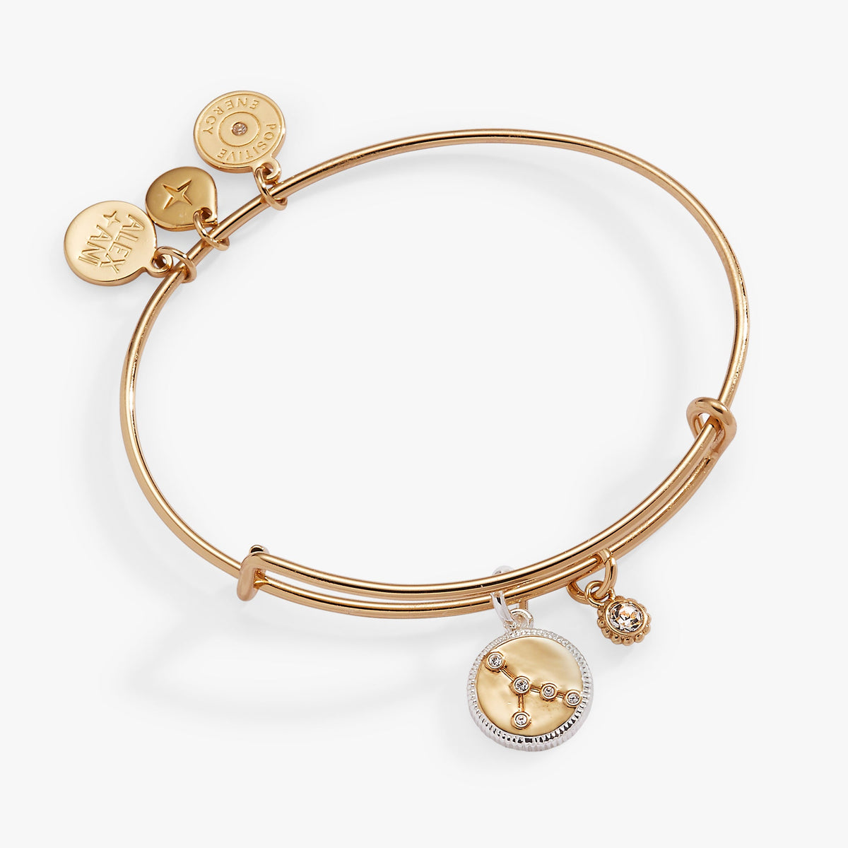 Cancer Zodiac Charm Bangle - Aaria Tees