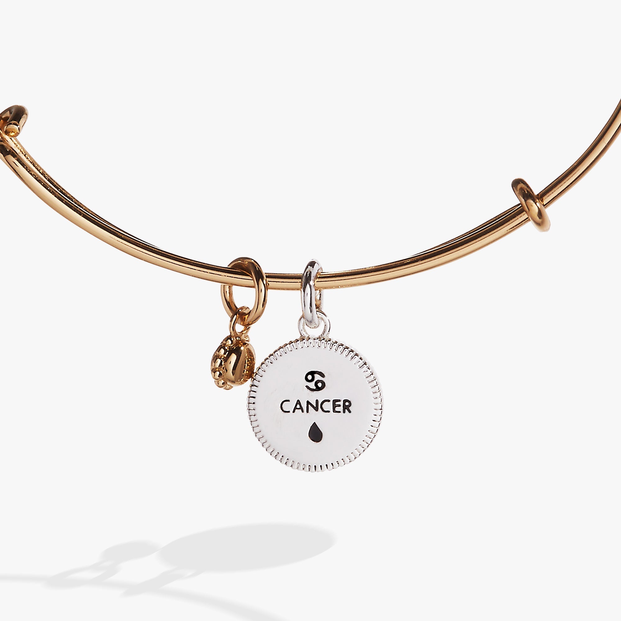 Cancer Zodiac Charm Bangle - Aaria Tees Aaria Tees