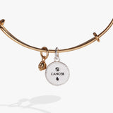 Cancer Zodiac Charm Bangle - Aaria Tees Aaria Tees