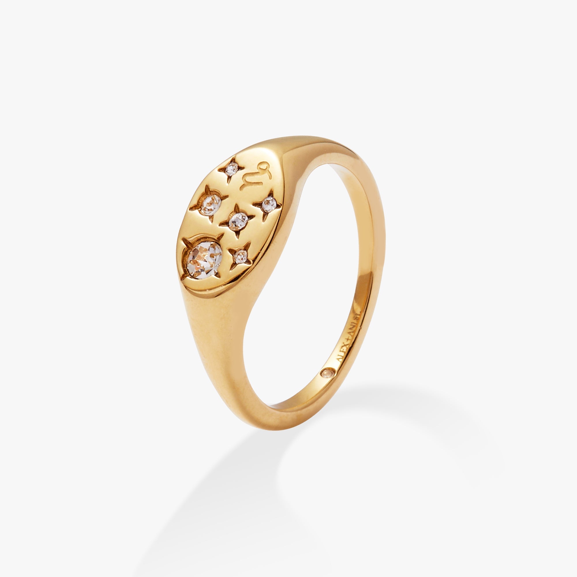 Capricorn Zodiac Ring - Aaria Tees Aaria Tees