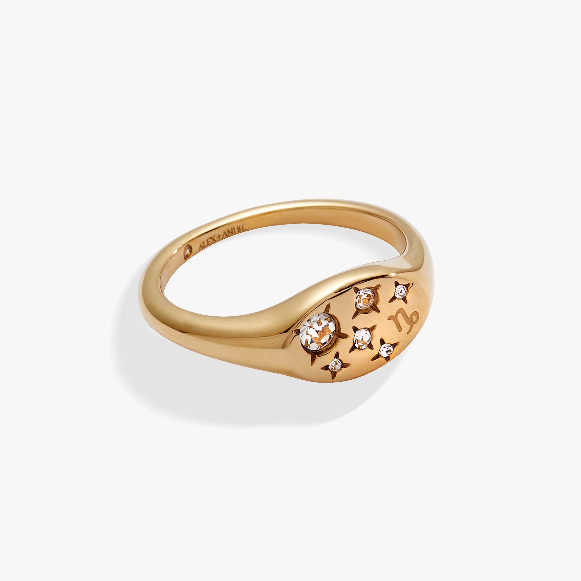 Capricorn Zodiac Ring - Aaria Tees Aaria Tees