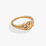 Capricorn Zodiac Ring - Aaria Tees Aaria Tees
