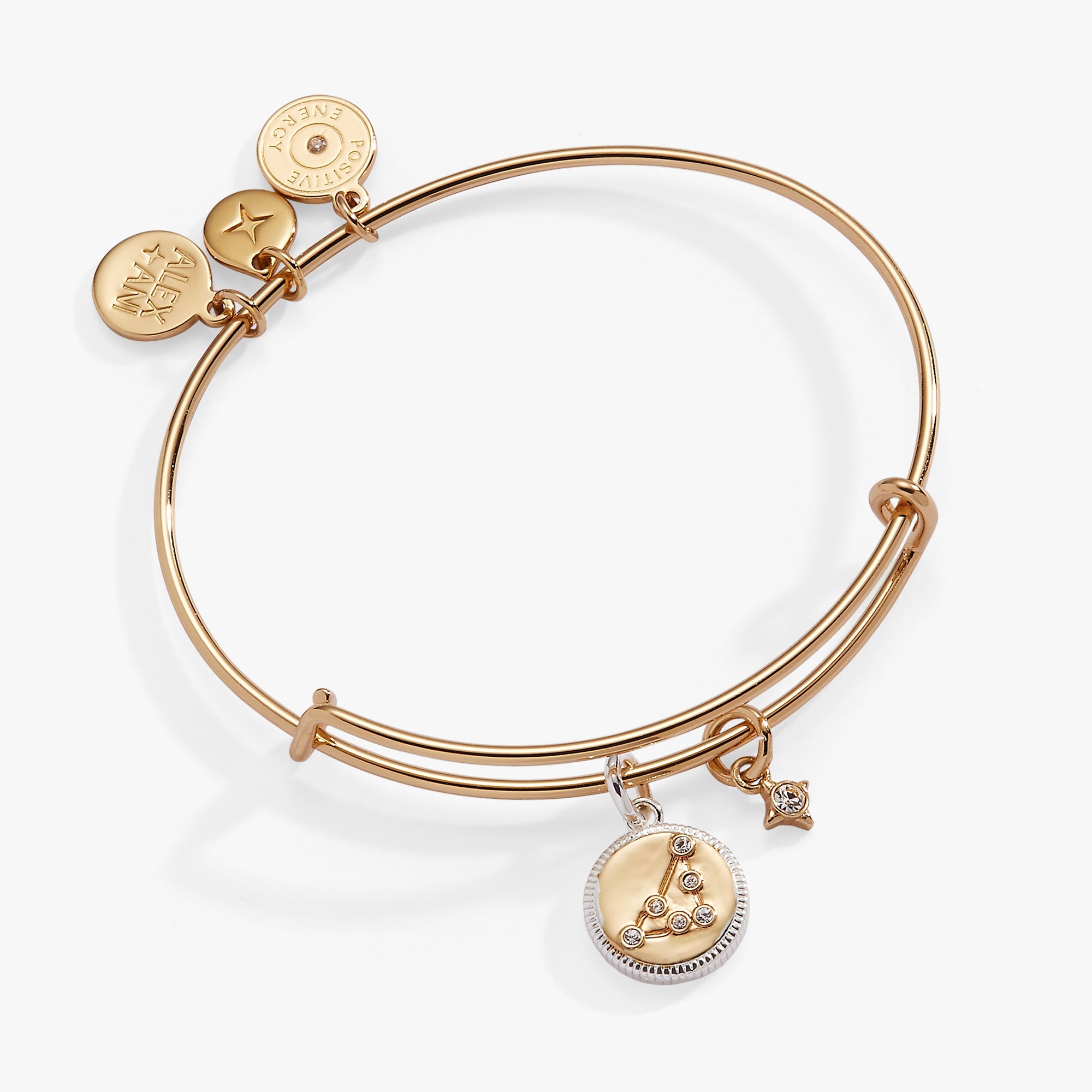 Capricorn Zodiac Charm Bangle - Aaria Tees Aaria Tees