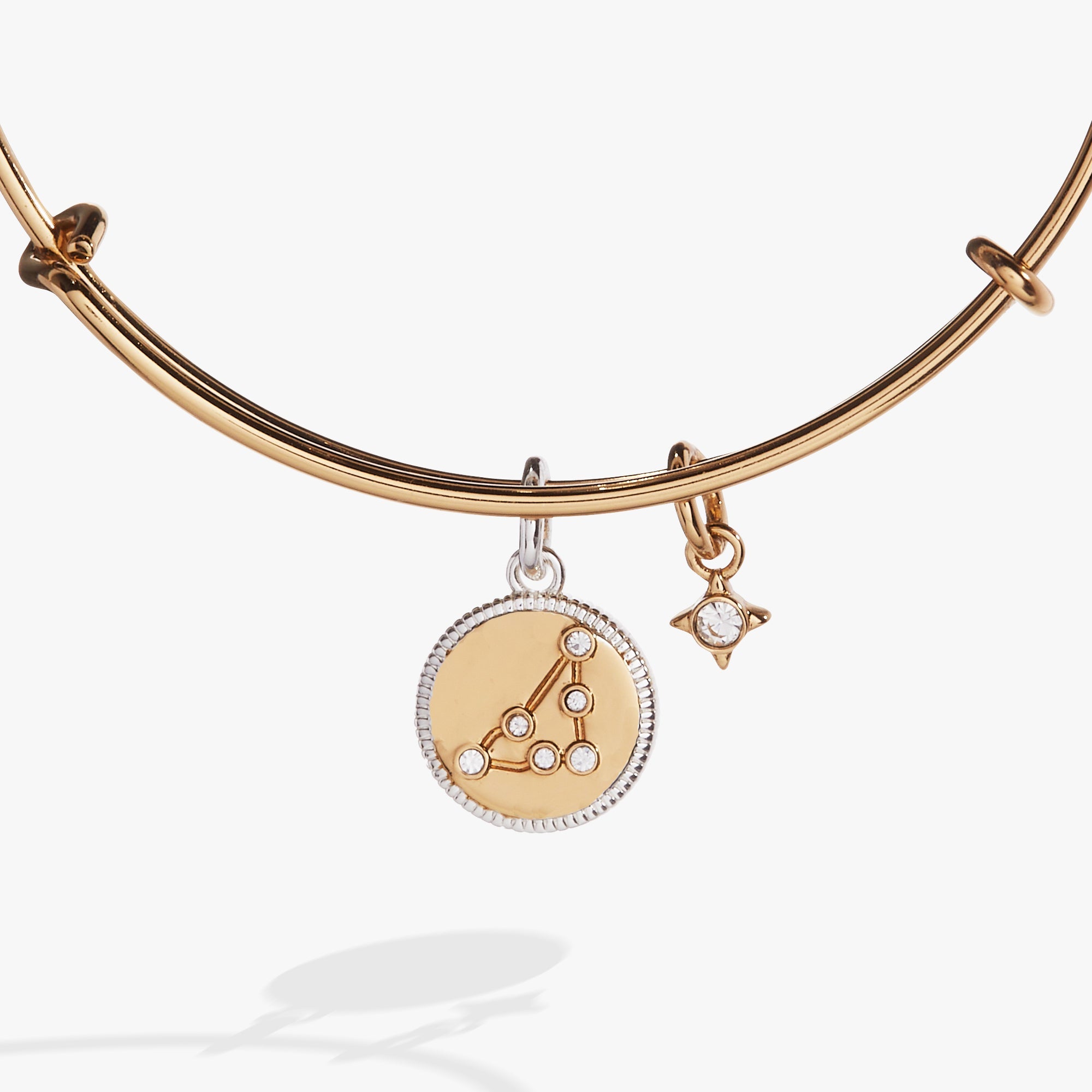 Capricorn Zodiac Charm Bangle - Aaria Tees Aaria Tees