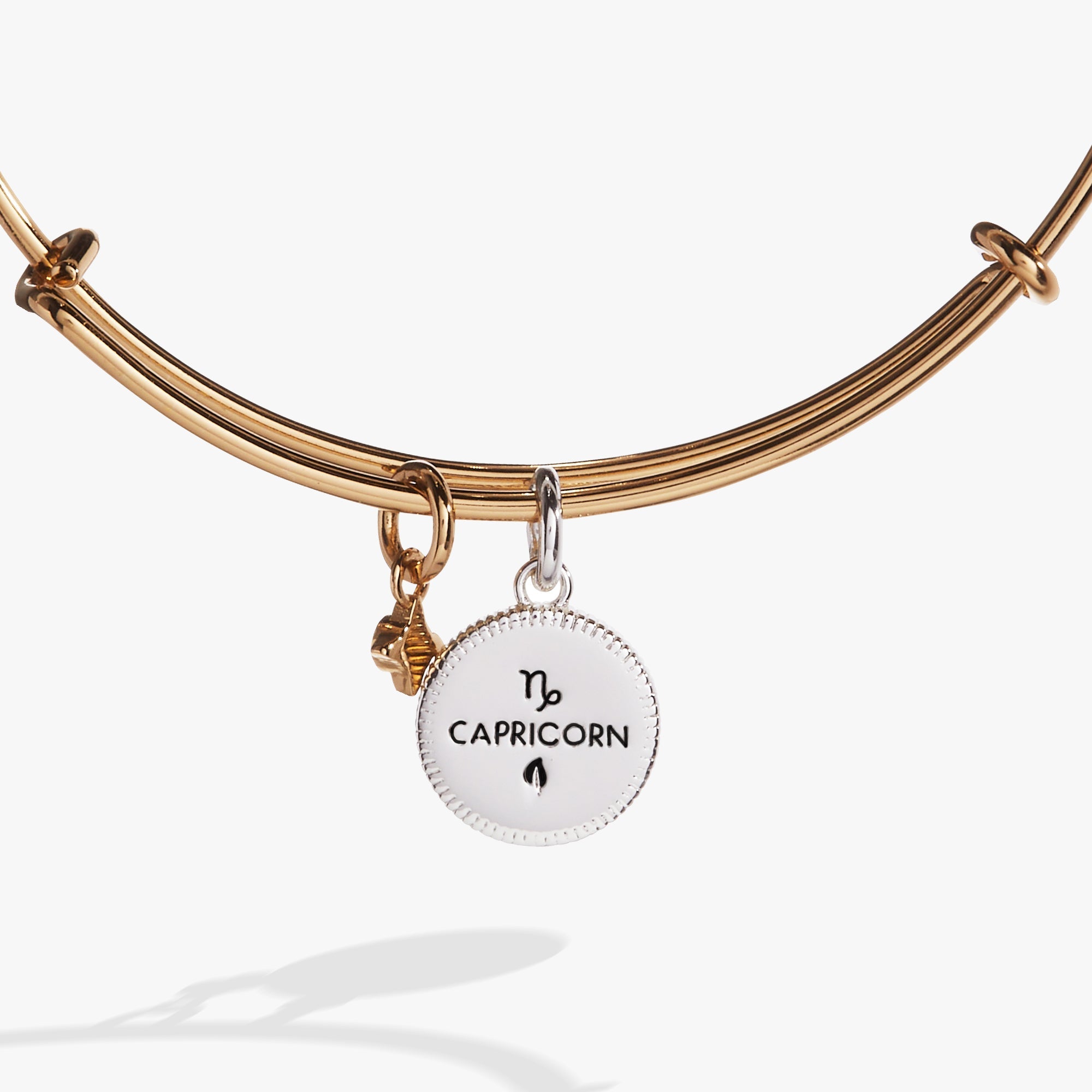Capricorn Zodiac Charm Bangle - Aaria Tees Aaria Tees
