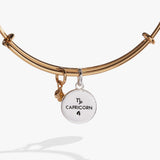Capricorn Zodiac Charm Bangle - Aaria Tees Aaria Tees