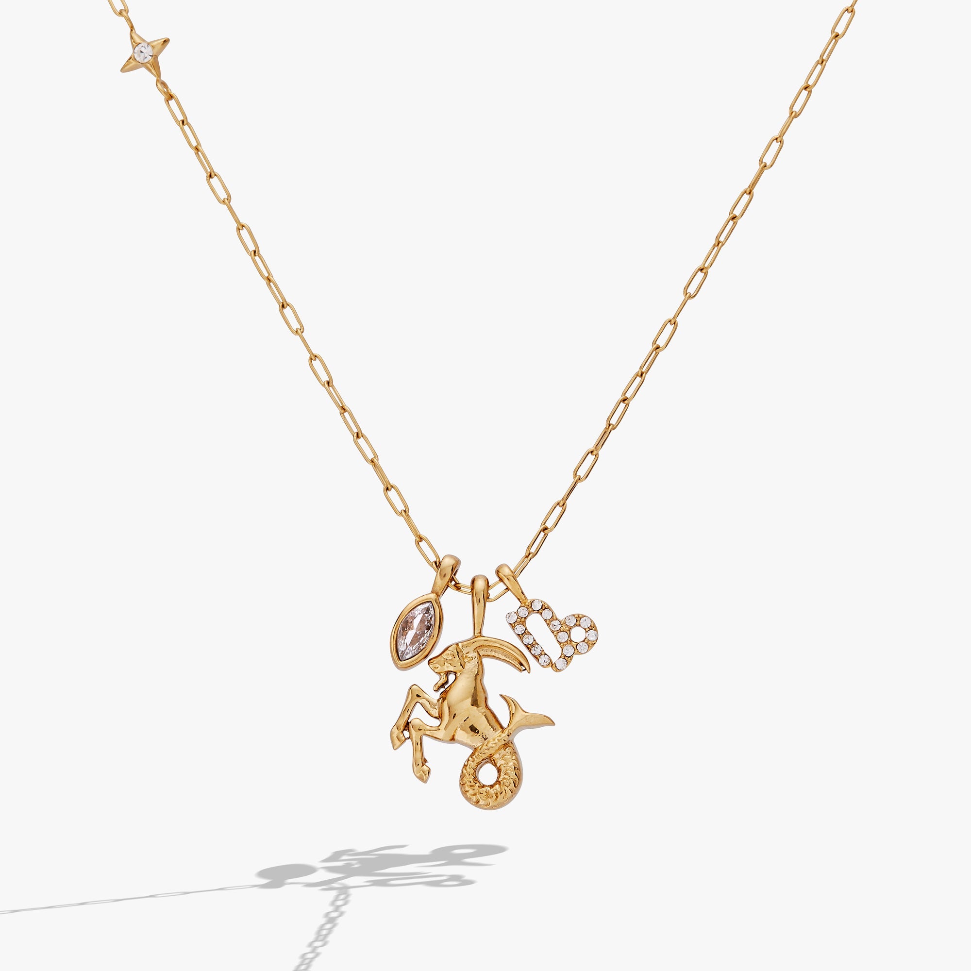 Capricorn Zodiac Charm Cluster Necklace - Aaria Tees Aaria Tees