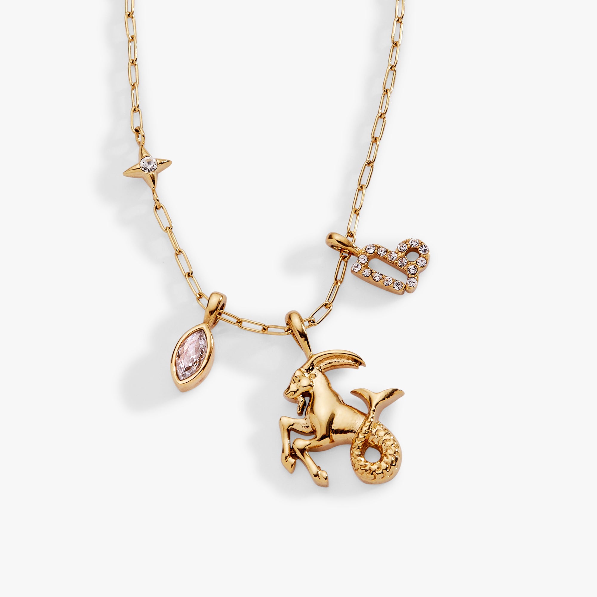 Capricorn Zodiac Charm Cluster Necklace - Aaria Tees Aaria Tees