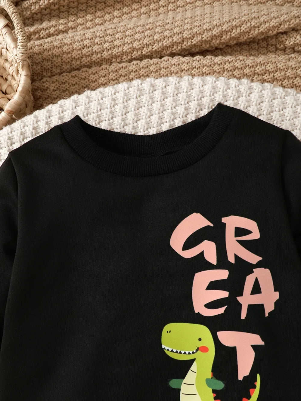 Children's Dinosaur Graphic Sweatshirt and Pants Set - Aaria Tees Aaria Tees