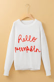 Hello Pumpkin Graphic Sweater - Aaria Tees Aaria Tees