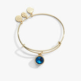 December Birthstone Charm Bangle, Blue Zircon - Aaria Tees Aaria Tees