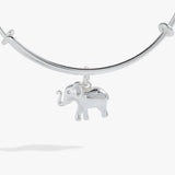 Elephant Charm Bangle - Aaria Tees Aaria Tees