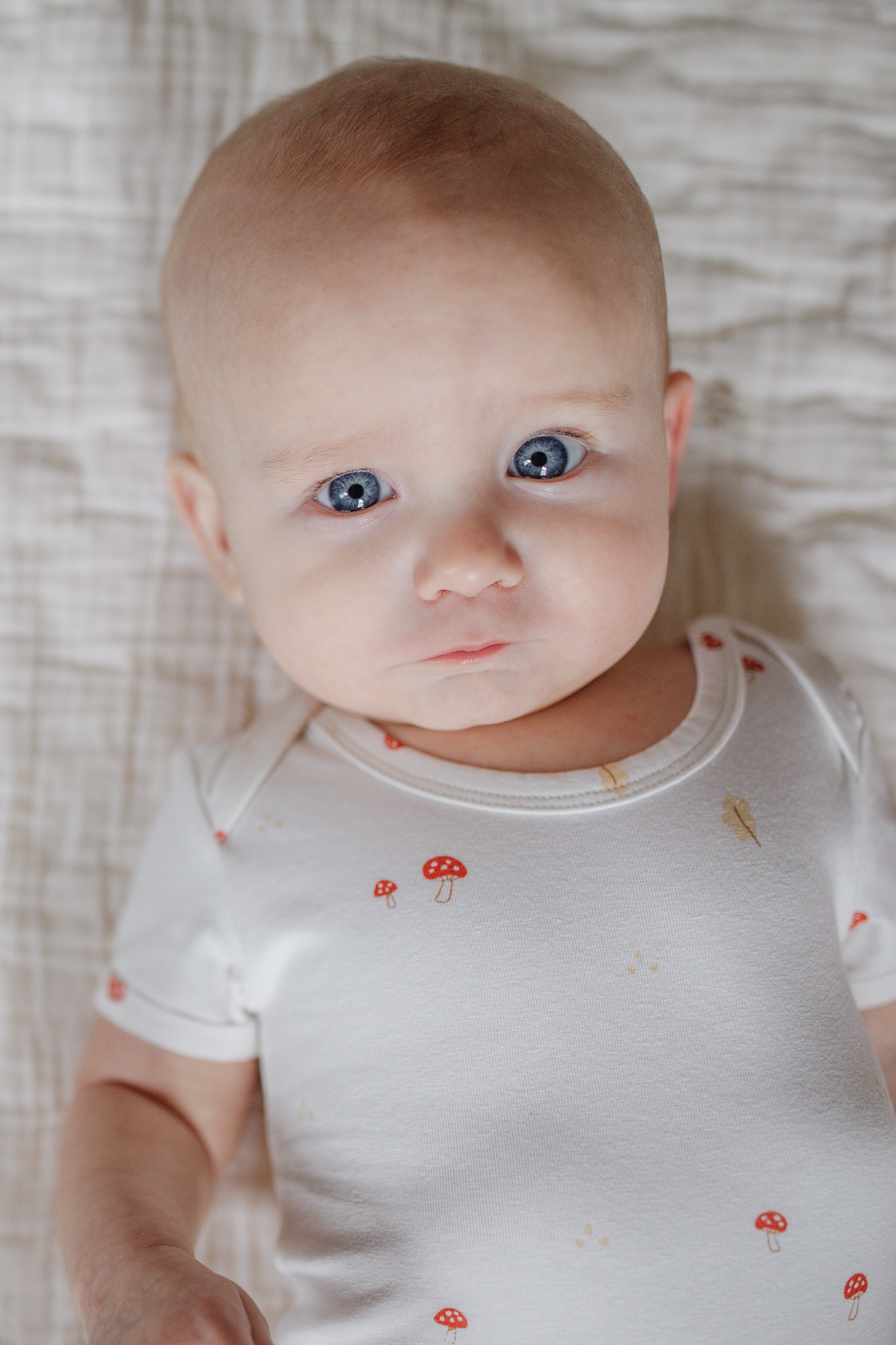Baby Boy Short Sleeve Set - Aaria Tees Aaria Tees