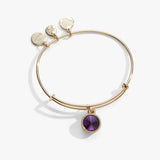 February Birthstone Charm Bangle, Amethyst - Aaria Tees Aaria Tees
