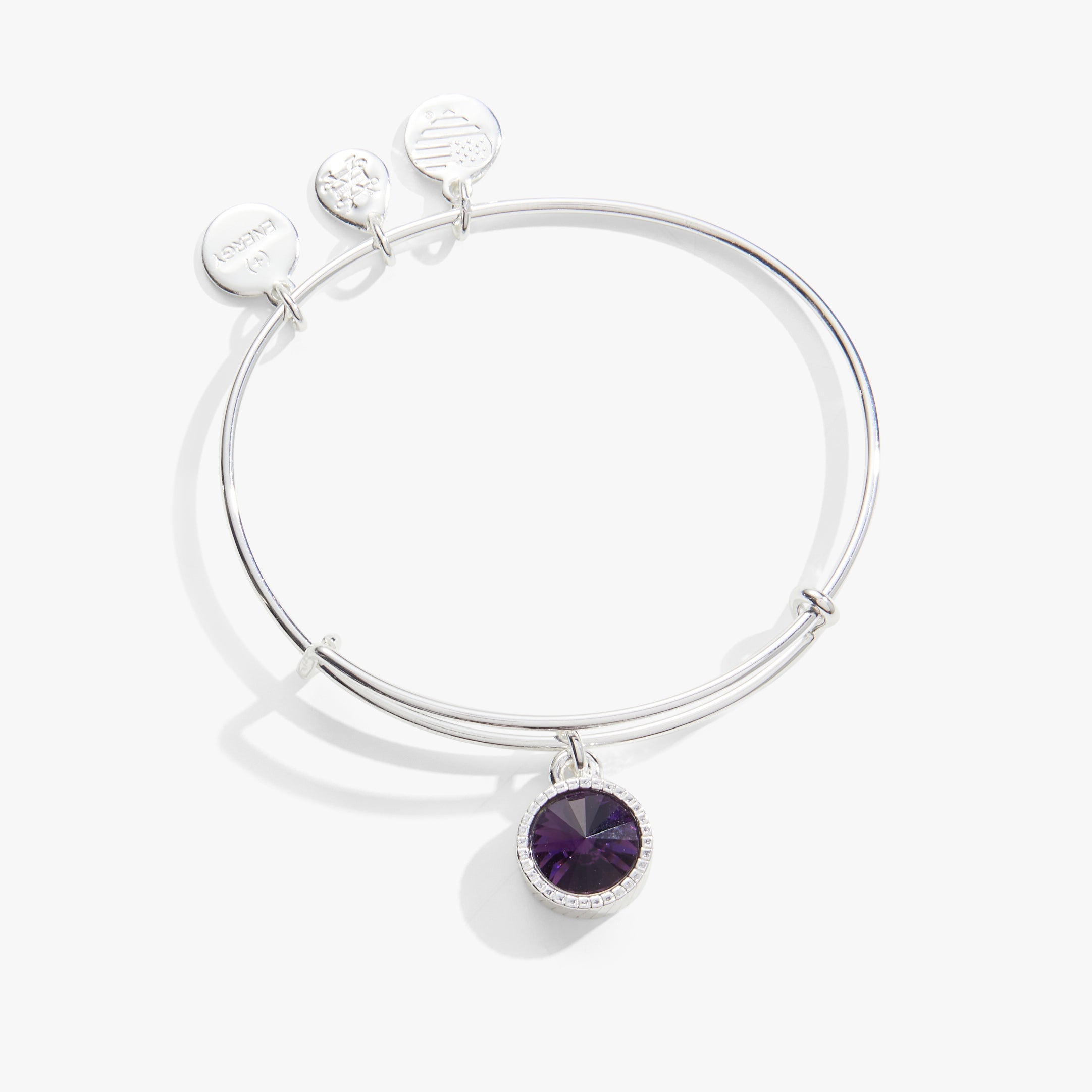 February Birthstone Charm Bangle, Amethyst - Aaria Tees Aaria Tees