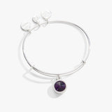 February Birthstone Charm Bangle, Amethyst - Aaria Tees Aaria Tees