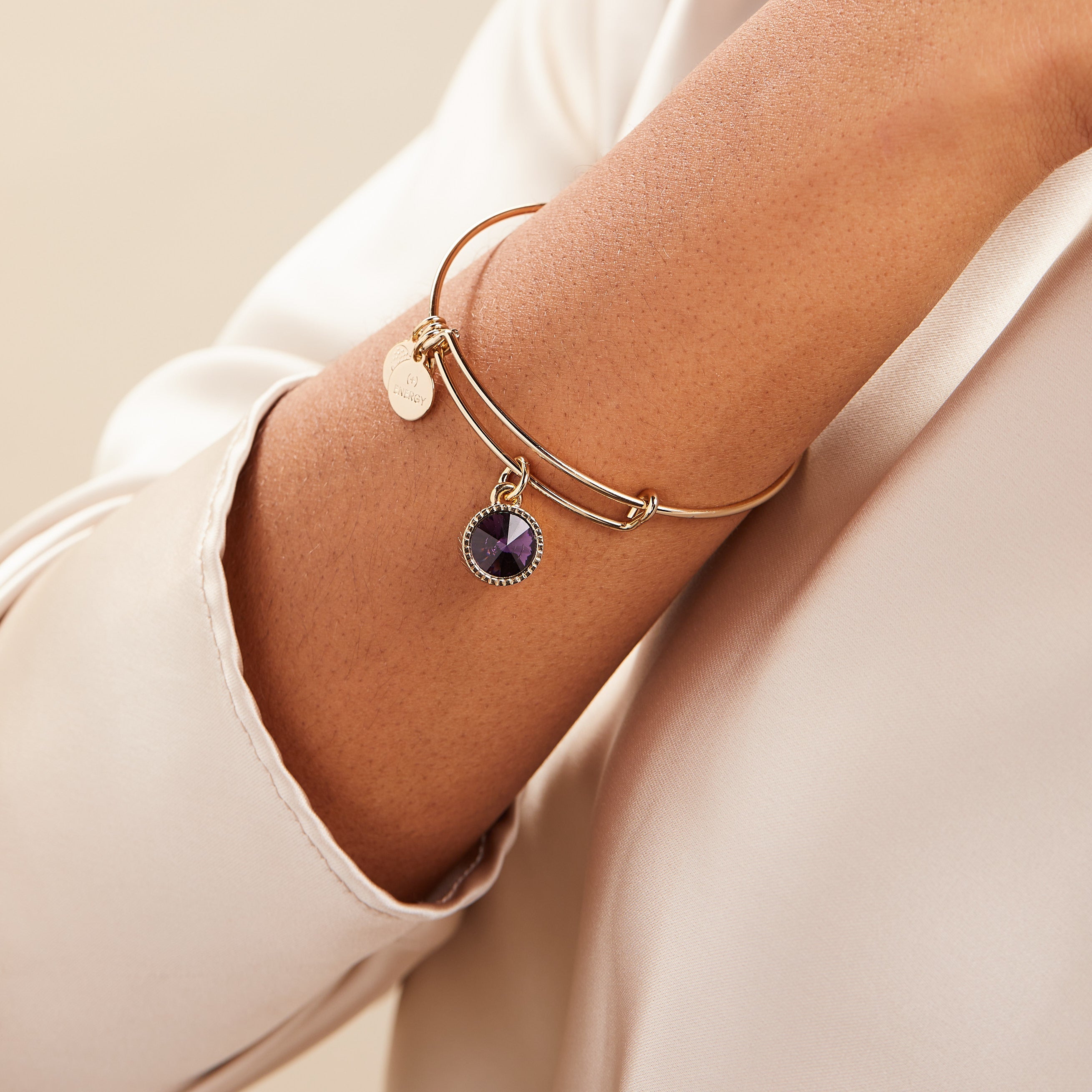 February Birthstone Charm Bangle, Amethyst - Aaria Tees Aaria Tees