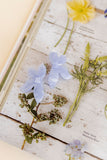 Fern Statement Earrings - Lavender Haze - Aaria Tees Aaria Tees