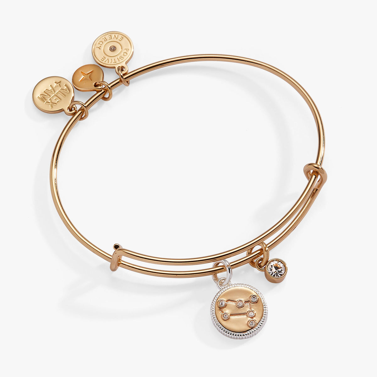 Gemini Zodiac Charm Bangle - Aaria Tees