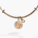 Gemini Zodiac Charm Bangle - Aaria Tees Aaria Tees