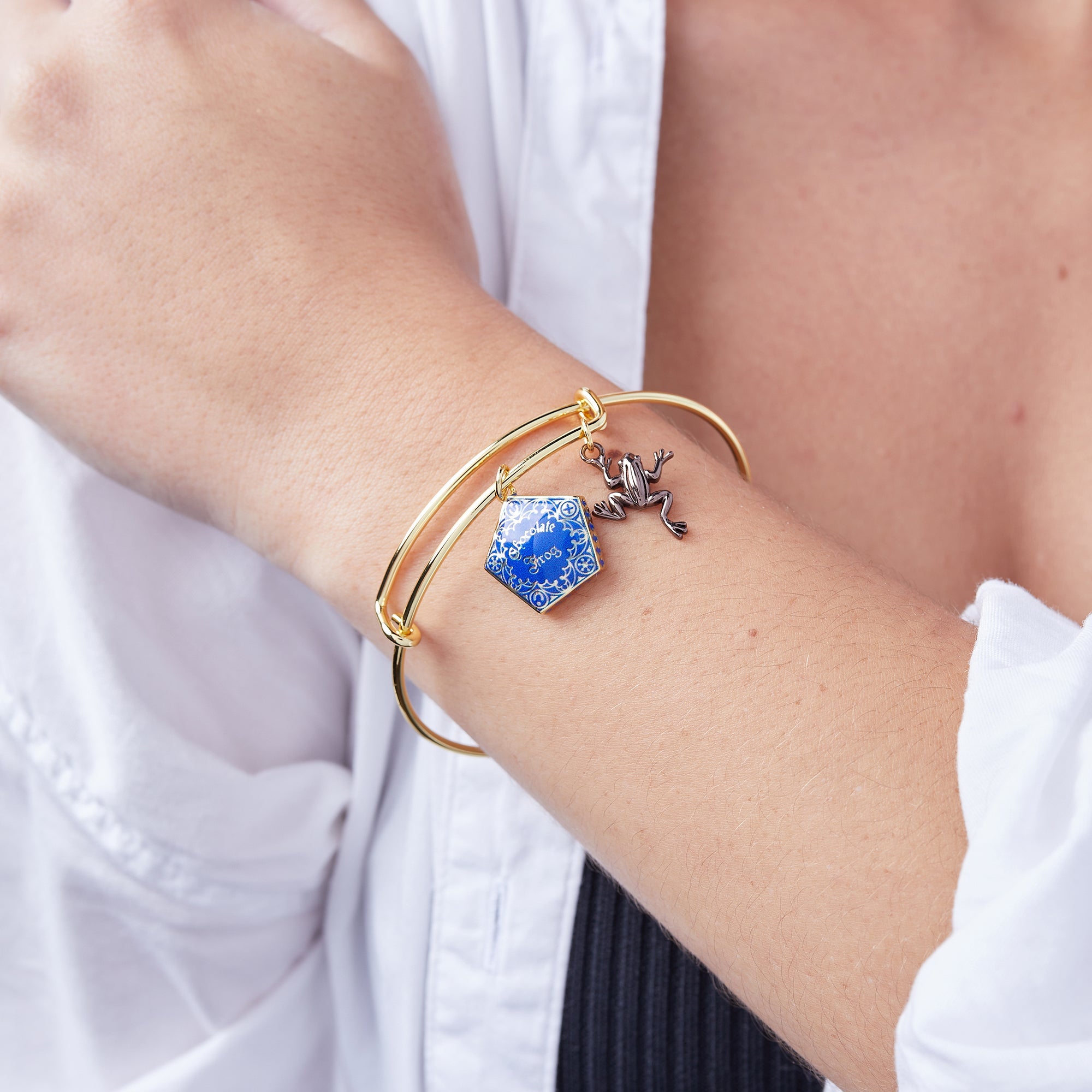 Harry Potter™ Chocolate Frog Two-Charm Bangle - Aaria Tees Aaria Tees