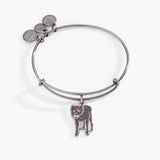 Harry Potter™ Sirius Black Charm Bangle Bracelet - Aaria Tees Aaria Tees