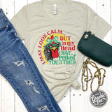 I May Look Calm but... - V-Neck Tee - Aaria Tees Aaria Tees
