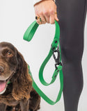 The Modern Dog Company - Clover Green Leash Aaria Tees