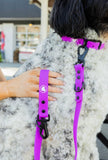 The Modern Dog Company - Electric Fuchsia Leash (Weather + Odor Resistant) - Aaria Tees Aaria Tees