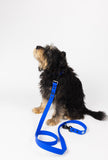 The Modern Dog Company - Royal Blue Leash (Weather + Odor Resistant) - Aaria Tees Aaria Tees