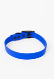 The Modern Dog Company - Royal Blue Collar (Weather + Odor Resistant) - Aaria Tees Aaria Tees