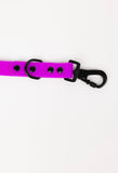 The Modern Dog Company - Electric Fuchsia Leash (Weather + Odor Resistant) - Aaria Tees Aaria Tees