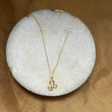 Zodiac Pearl Necklace Aaria Tees