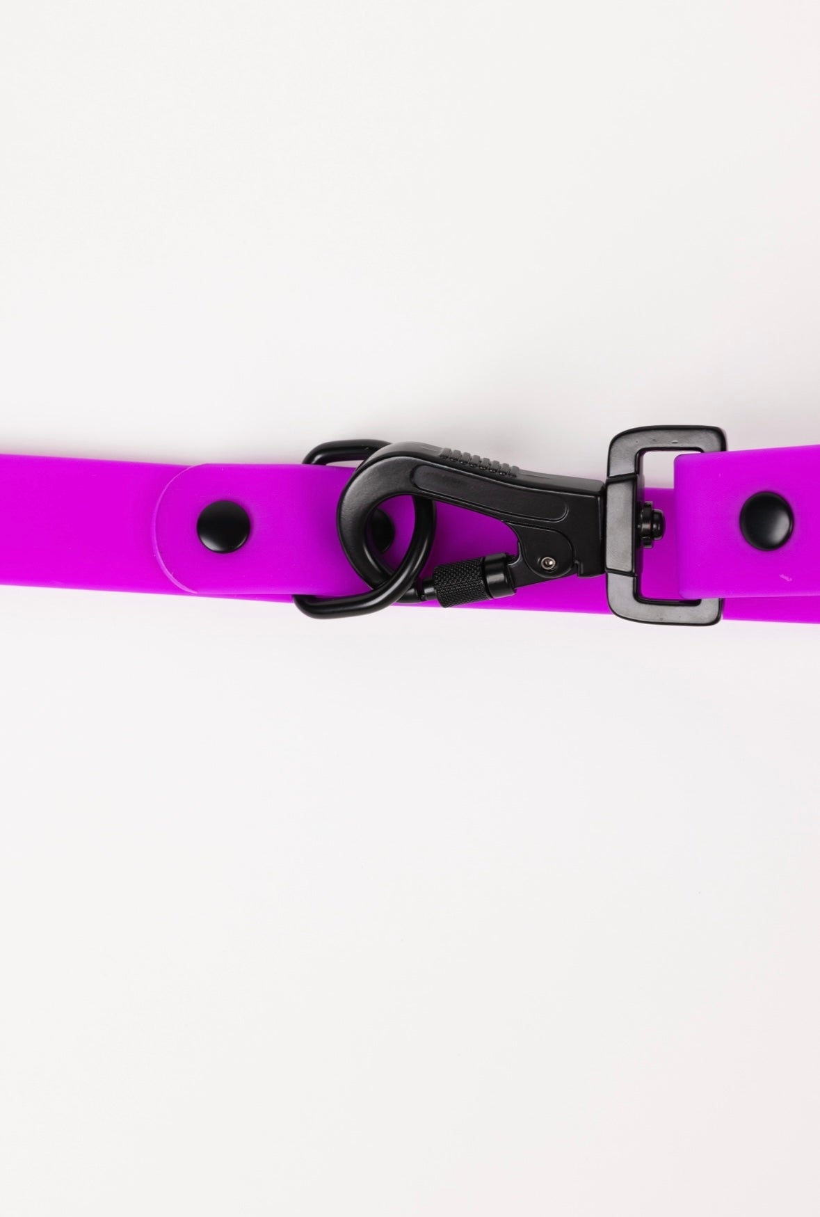 The Modern Dog Company - Electric Fuchsia Leash (Weather + Odor Resistant) - Aaria Tees Aaria Tees