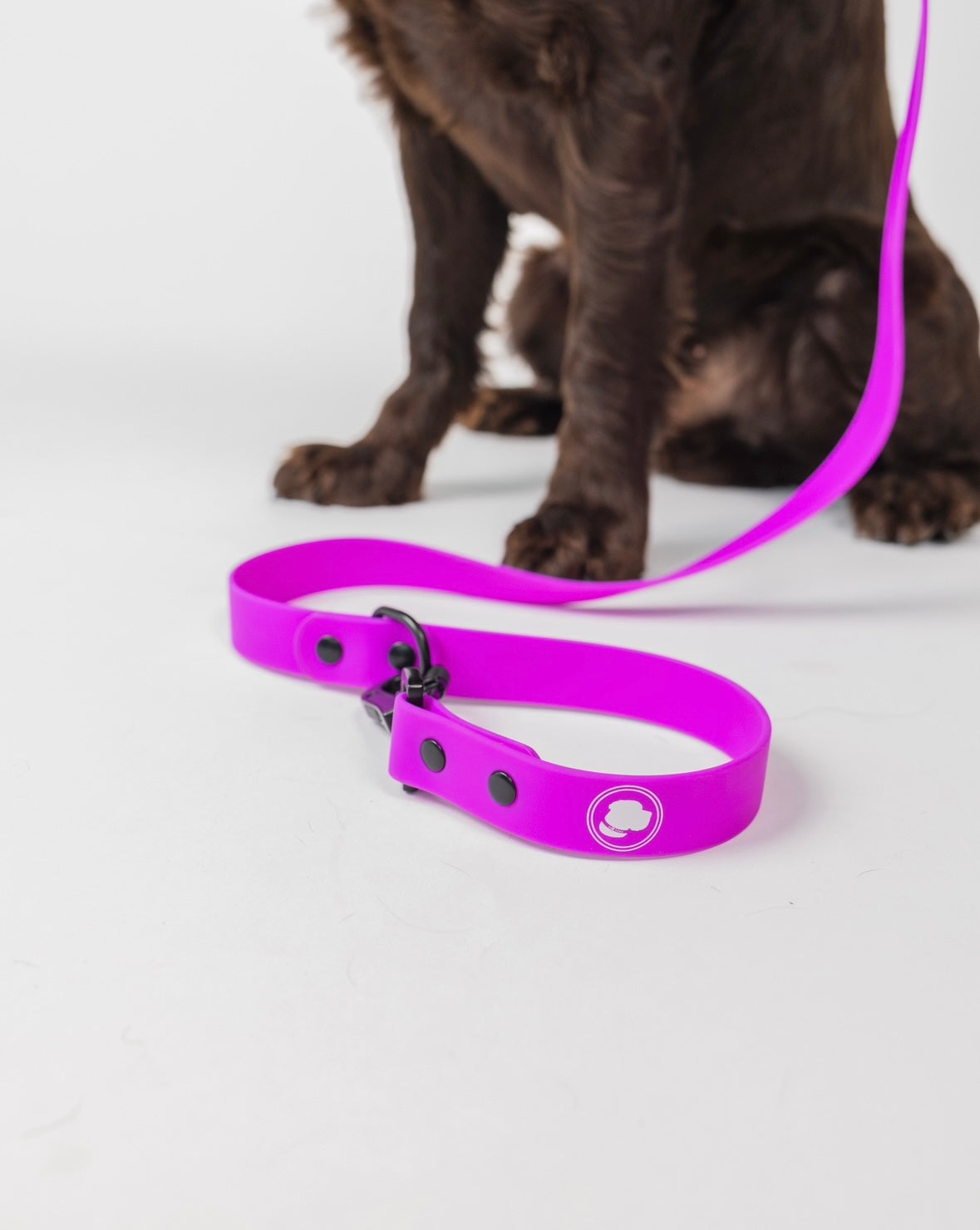 The Modern Dog Company - Electric Fuchsia Leash (Weather + Odor Resistant) - Aaria Tees Aaria Tees