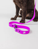 The Modern Dog Company - Electric Fuchsia Leash (Weather + Odor Resistant) - Aaria Tees Aaria Tees
