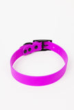 The Modern Dog Company - Electric Fuchsia Collar (Weather + Odor Resistant) Aaria Tees