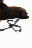 The Modern Dog Company - Better in Black Leash Aaria Tees