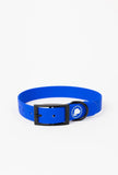 The Modern Dog Company - Royal Blue Collar (Weather + Odor Resistant) - Aaria Tees Aaria Tees
