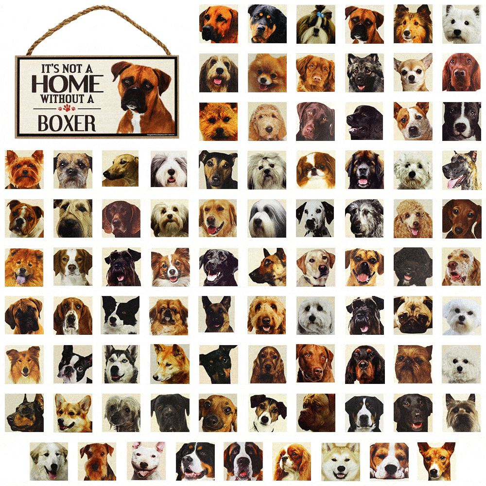 It's Not a Home Without a Dog Sign - Aaria Tees Aaria Tees