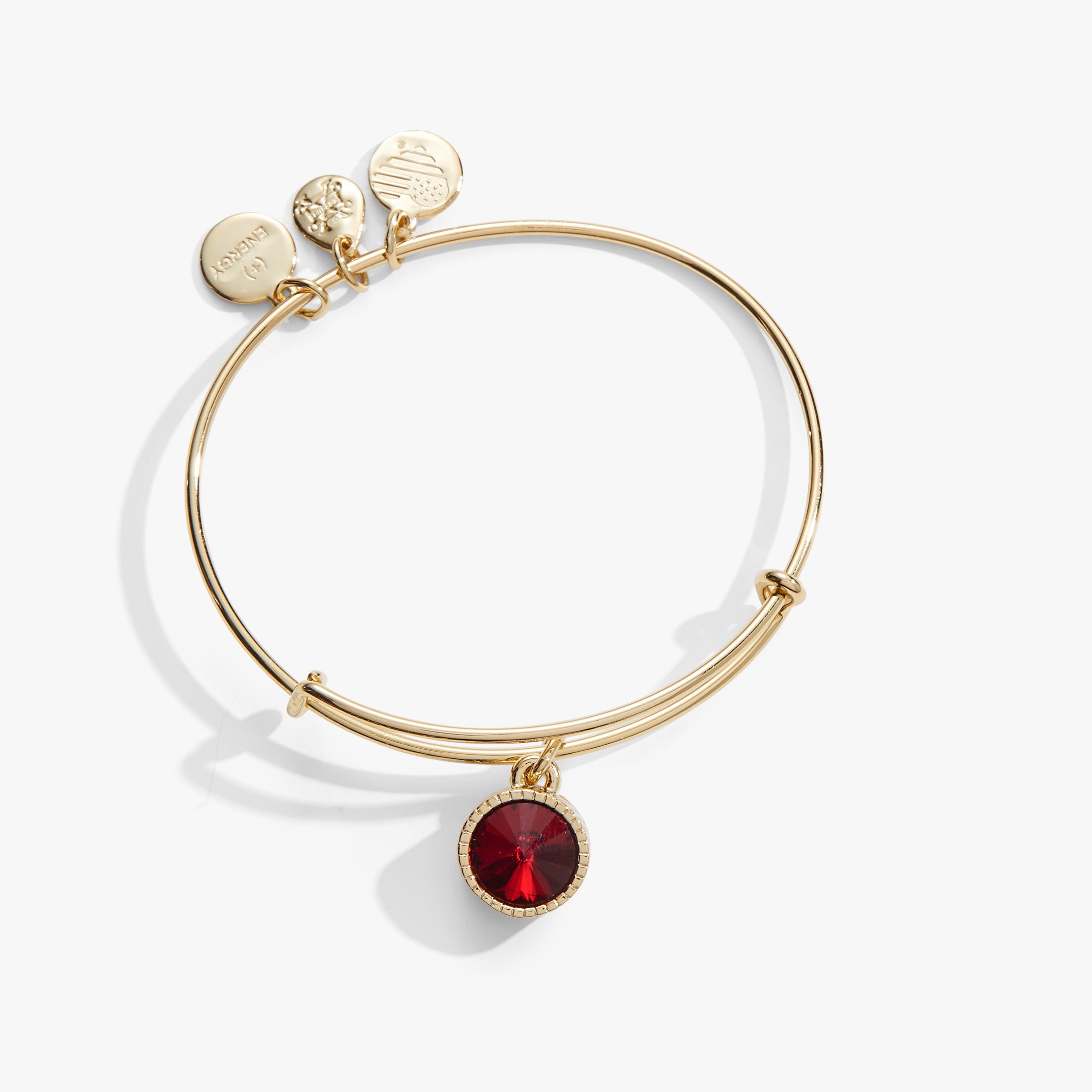 January Birthstone Charm Bangle, Scarlet - Aaria Tees Aaria Tees