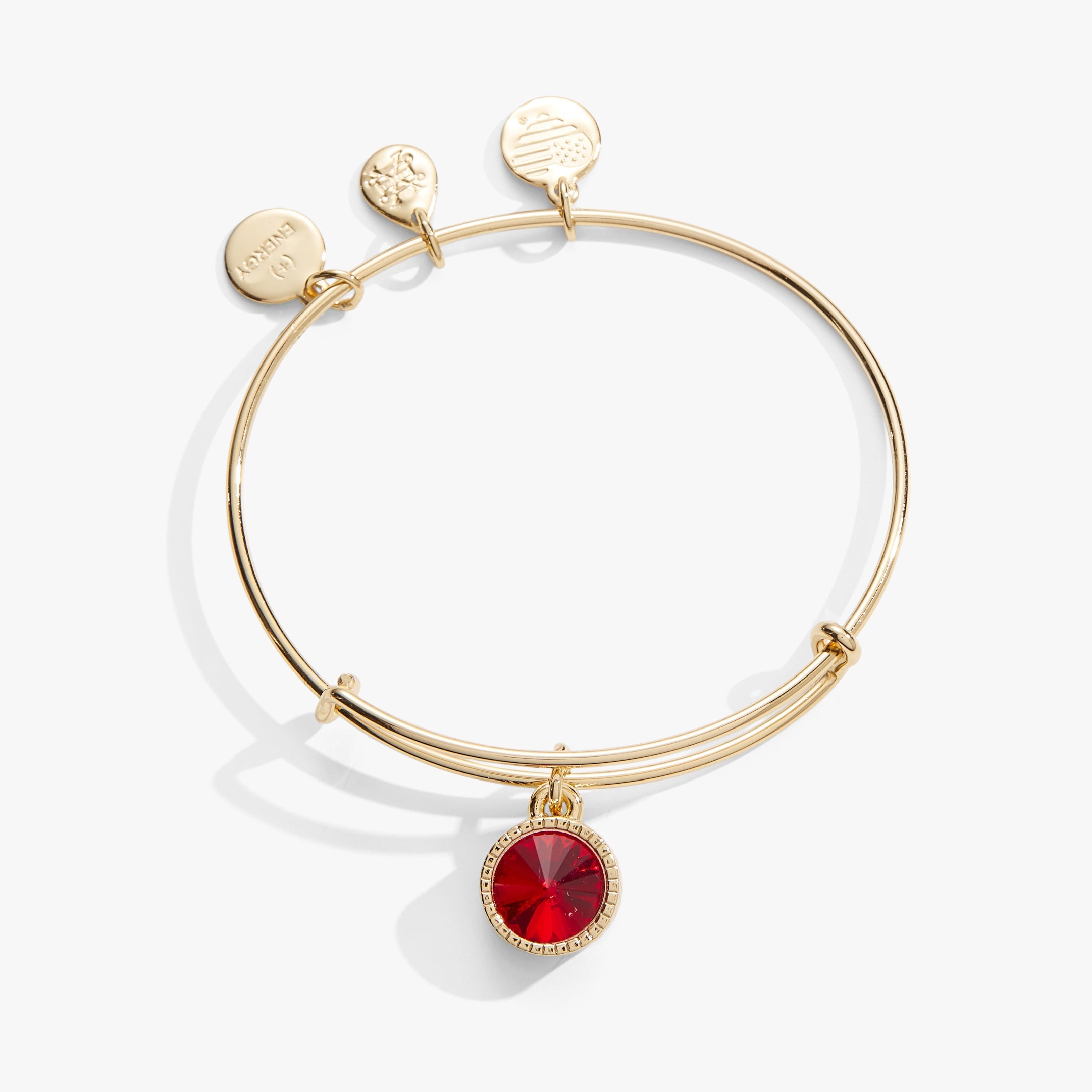July Birthstone Charm Bangle, Ruby - Aaria Tees Aaria Tees
