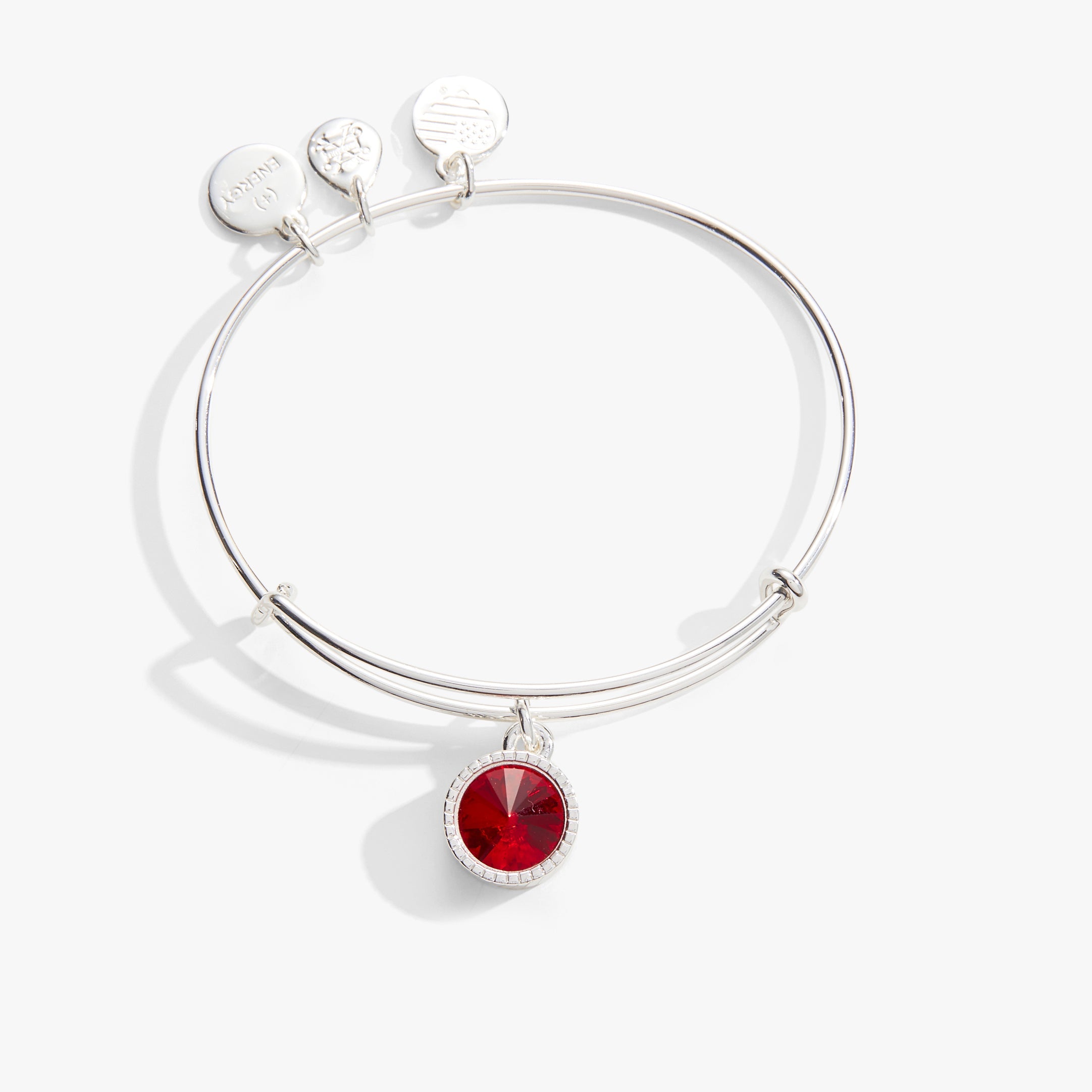 July Birthstone Charm Bangle, Ruby - Aaria Tees Aaria Tees