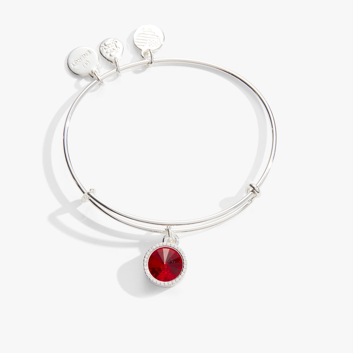 July Birthstone Charm Bangle, Ruby - Aaria Tees