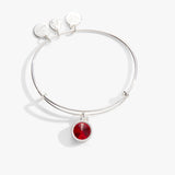 July Birthstone Charm Bangle, Ruby - Aaria Tees Aaria Tees