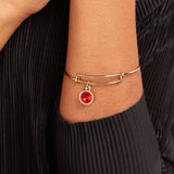 July Birthstone Charm Bangle, Ruby - Aaria Tees Aaria Tees