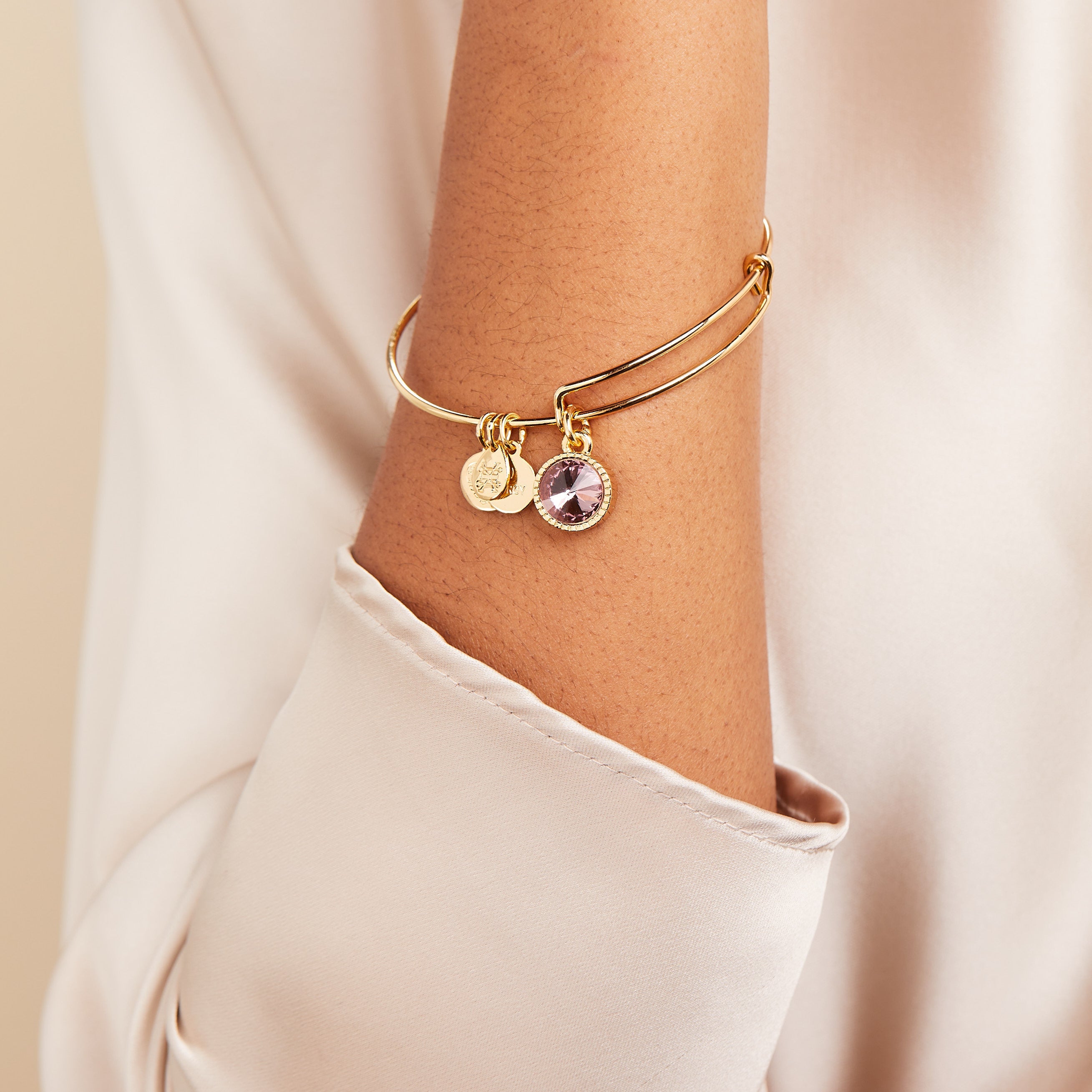 June Birthstone Charm Bangle, Light Amethyst - Aaria Tees Aaria Tees