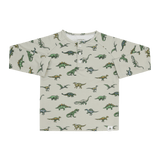 Legendary Raglan Henley Aaria Tees